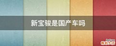 新宝骏是国产车吗