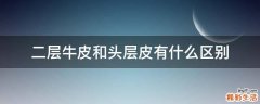 二层牛皮和头层皮有什么区别