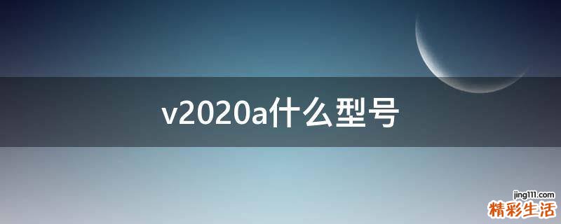 v2020a什么型号