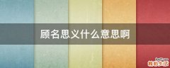 顾名思义什么意思啊