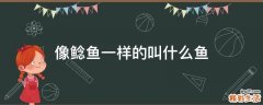 像鲶鱼一样的叫什么鱼