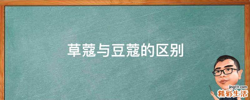 草蔻与豆蔻的区别
