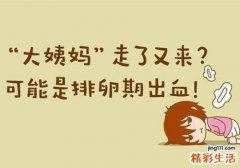 排卵期出血前一天同房会不会怀孕