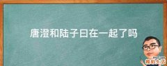唐澄和陆子曰在一起了吗
