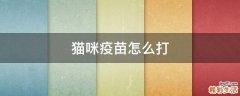 猫咪疫苗怎么打