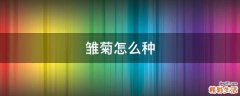 雏菊怎么种