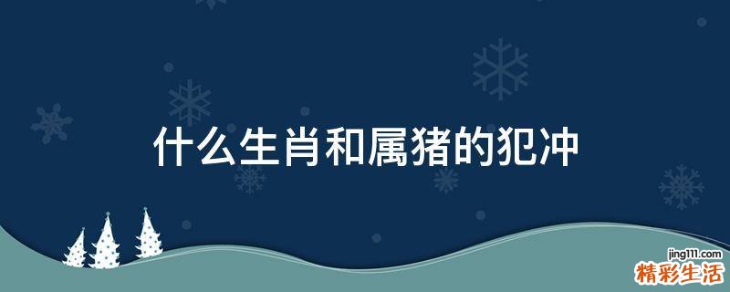 什么生肖和属猪的犯冲