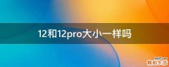 12和12pro大小一样吗