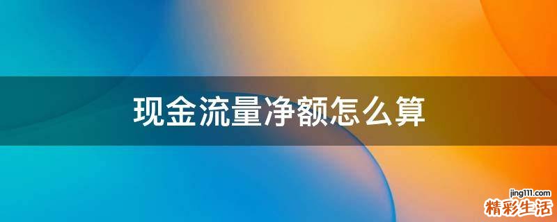 现金流量净额怎么算