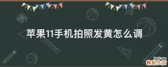 苹果11手机拍照发黄怎么调