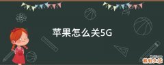 苹果怎么关5G