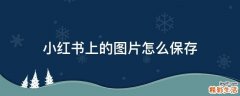小红书上的图片怎么保存