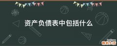 资产负债表中包括什么