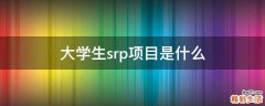 大学生srp项目是什么