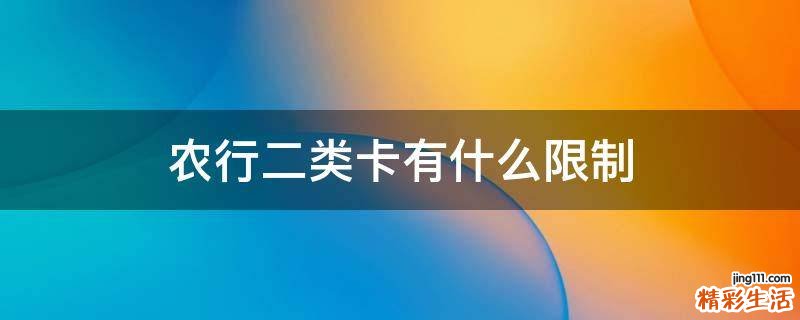 农行二类卡有什么限制