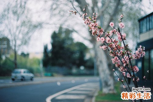 老年人应如何保护牙齿