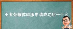 王者荣耀体验服申请成功后干什么