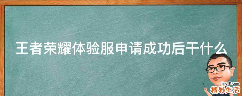 王者荣耀体验服申请成功后干什么