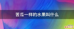 苦瓜一样的水果叫什么
