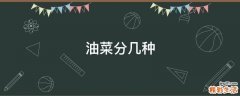 油菜分几种