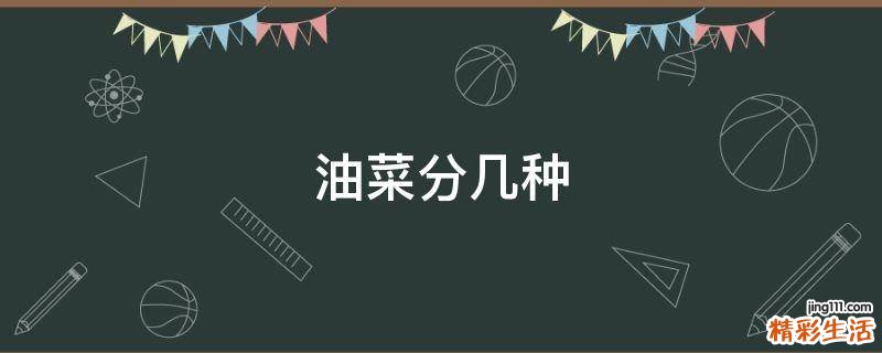 油菜分几种
