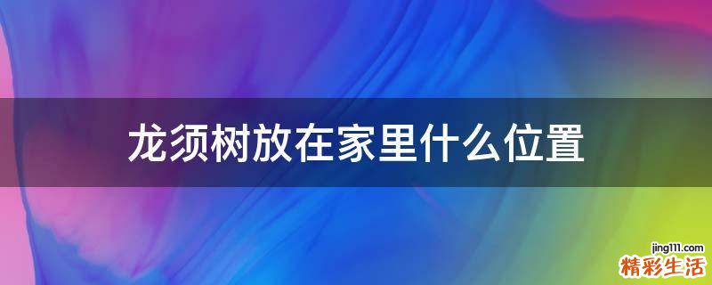 龙须树放在家里什么位置