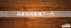 鸡是如何繁殖下一代