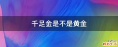 千足金是不是黄金