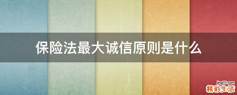 保险法最大诚信原则是什么