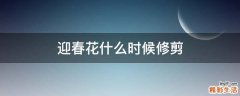 迎春花什么时候修剪