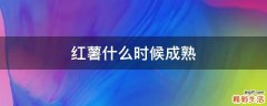 红薯什么时候成熟