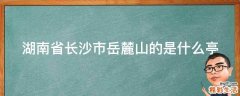 湖南省长沙市岳麓山的是什么亭
