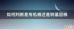 如何判断是有机棉还是转基因棉