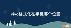 vivo格式化在手机哪个位置
