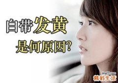 白带发黄多是什么原因