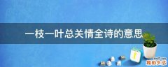 一枝一叶总关情全诗的意思