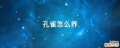 孔雀怎么养
