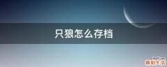 只狼怎么存档