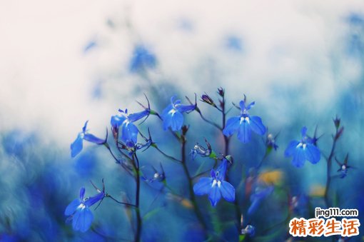 【孕妇护发怎么做】孕妇产后护发的微妙
