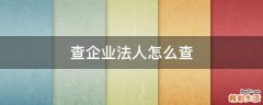 查企业法人怎么查