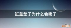 缸盖垫子为什么会呲了