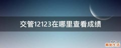 交管12123在哪里查看成绩