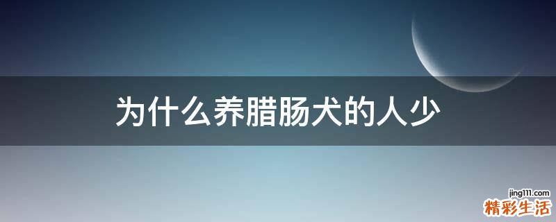 为什么养腊肠犬的人少