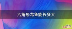 六角恐龙鱼能长多大