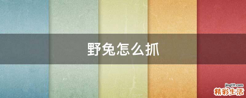 野兔怎么抓