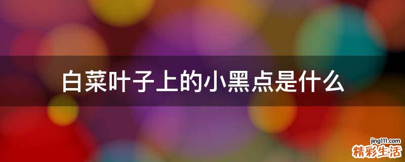 白菜叶子上的小黑点是什么