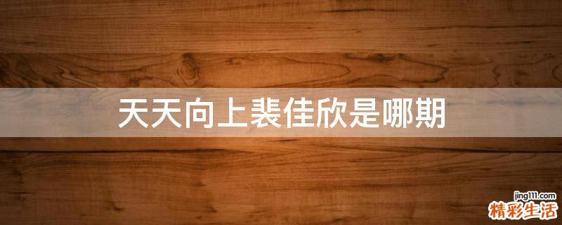 天天向上裴佳欣是哪期