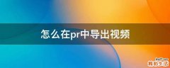 怎么在pr中导出视频