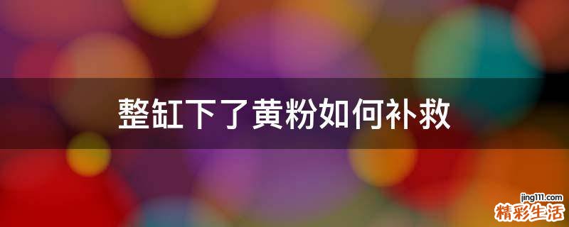 整缸下了黄粉如何补救