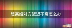 想离婚对方迟迟不离怎么办